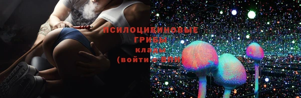 гидра Новый Уренгой
